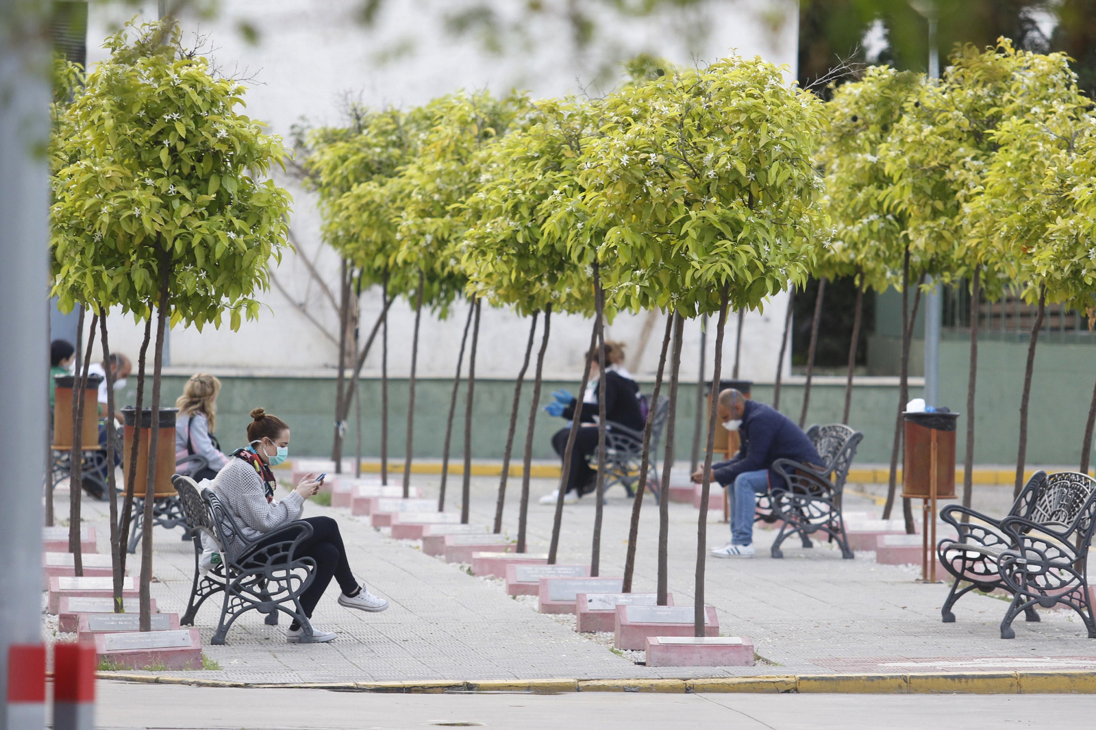 El Jardín de los Trasplantes, al lado de las Urgencias del Reina Sofía.
