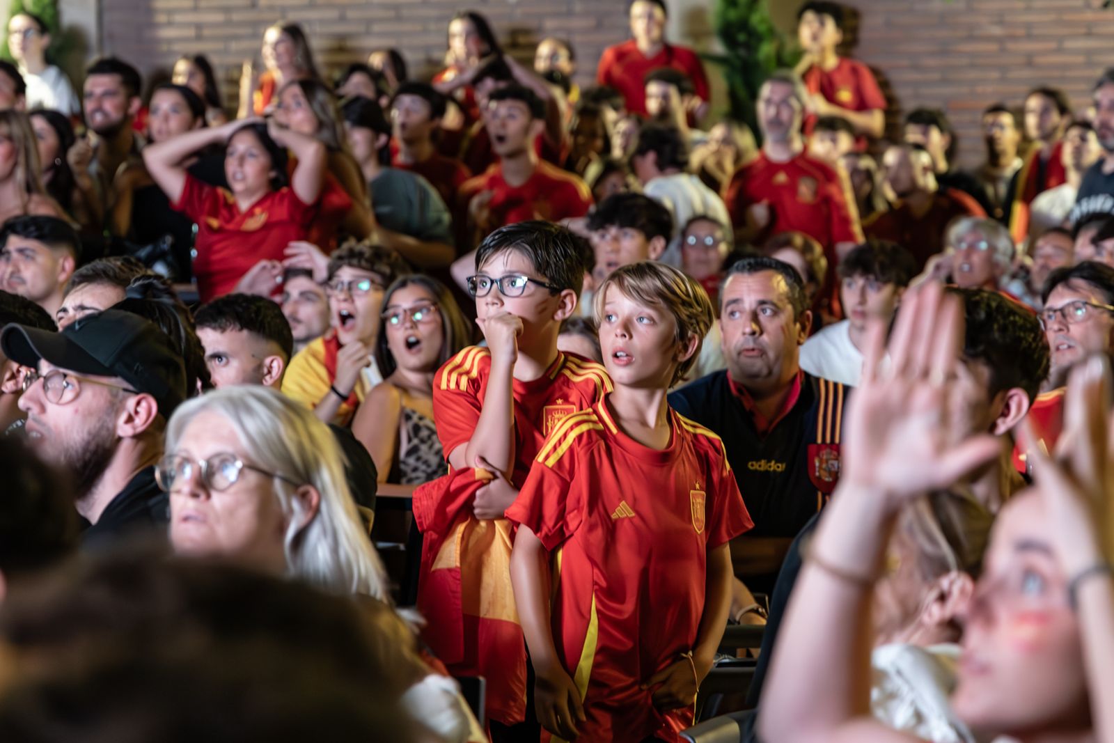 La euforia jiennense por la victoria de España, imágenes