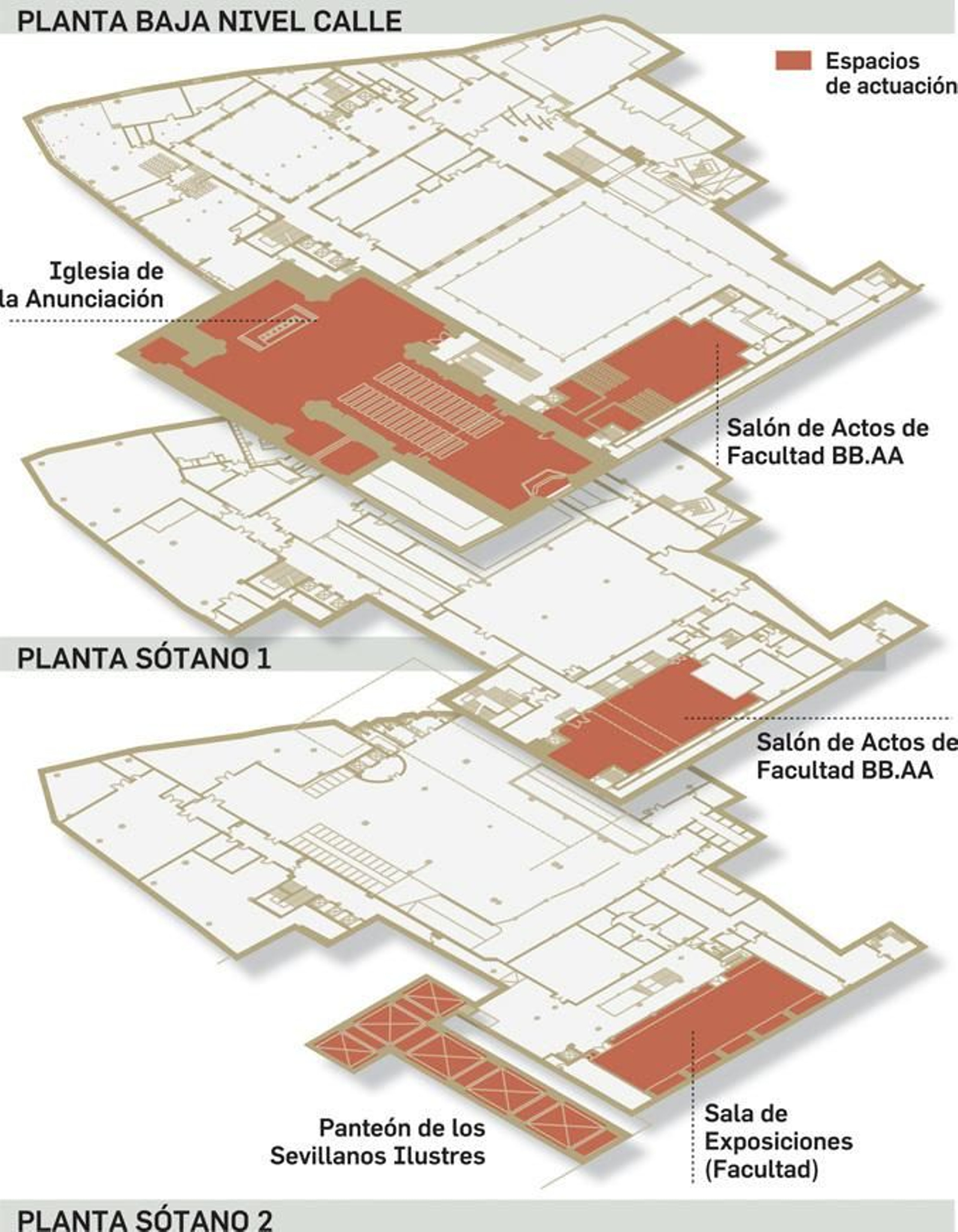 Detalle de las plantas de la Anunciación (Fuente: Universidad de Sevilla)