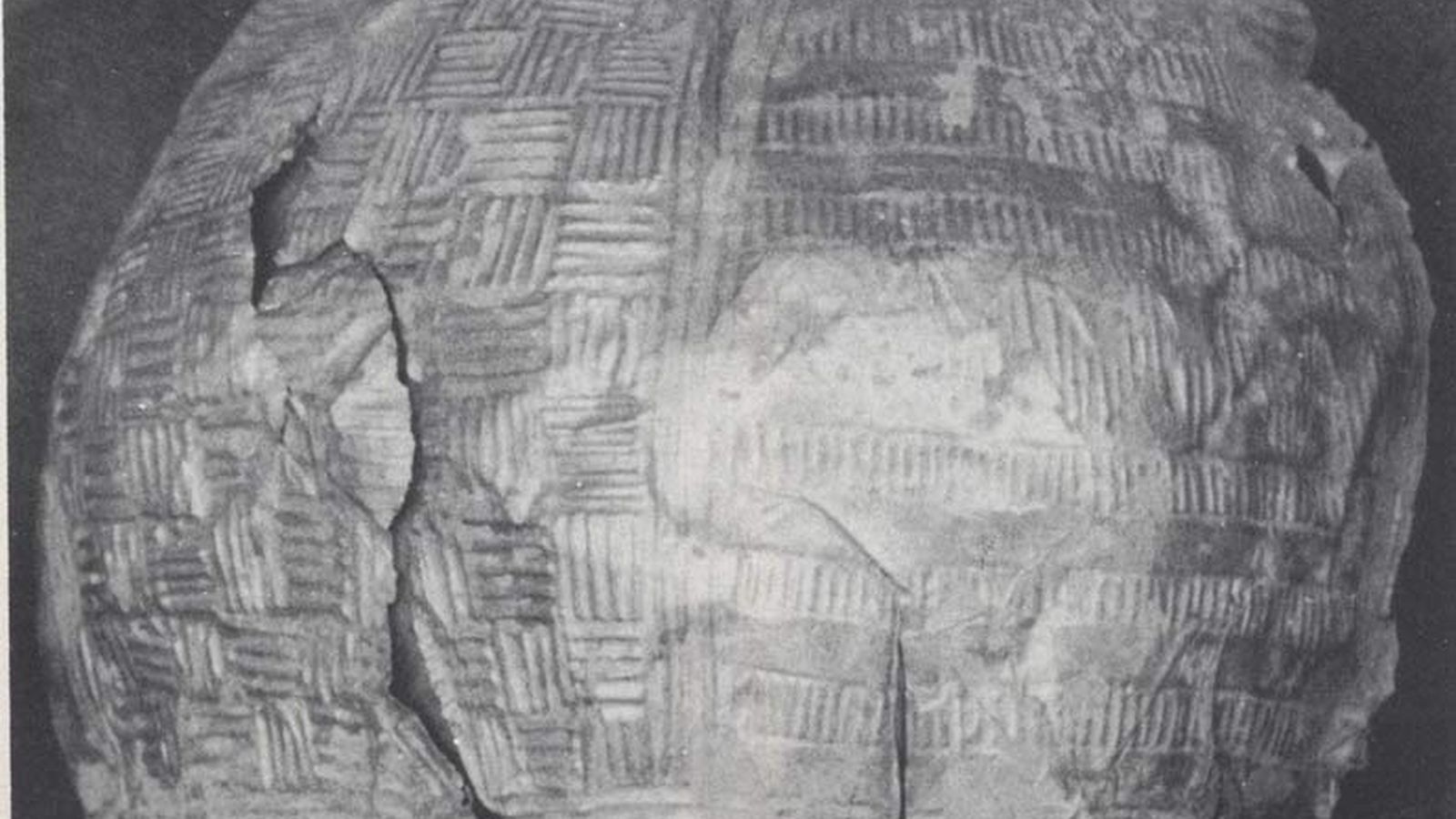 Placas de oro en la necrópolis de Los Algarbes.