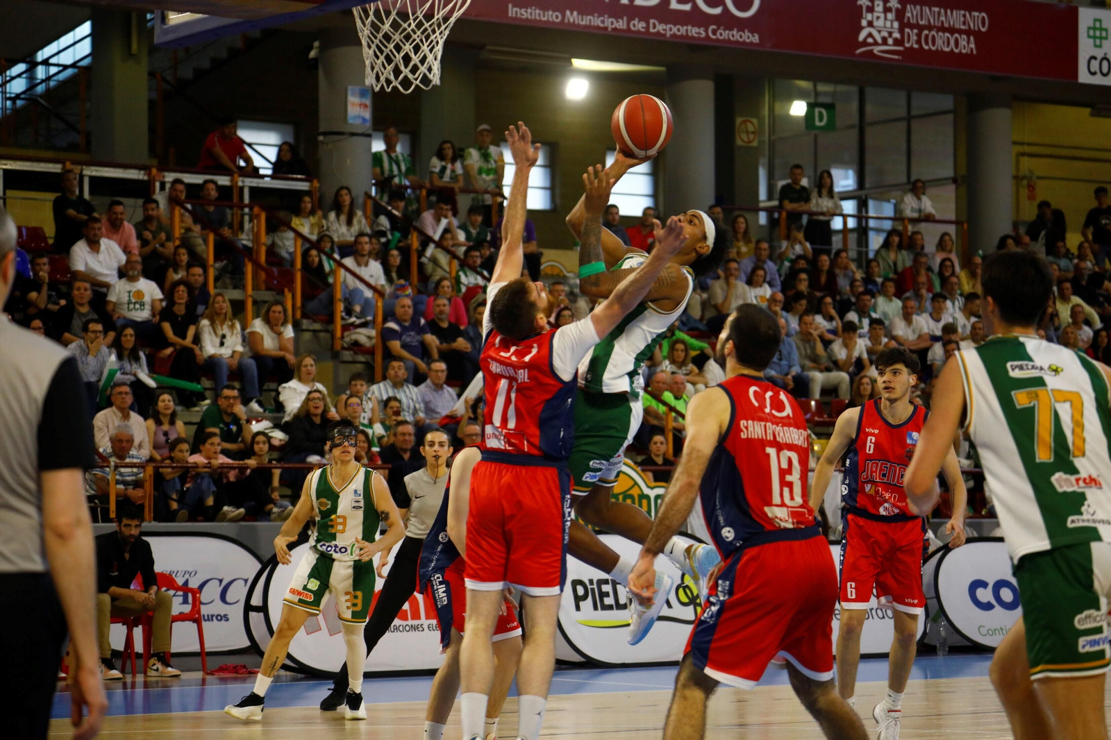 Las mejores fotos del triunfo del Coto Córdoba sobre el Jaén Paraíso Interior en Vista Alegre