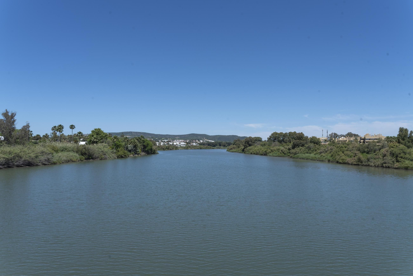 Fotos de una mañana de primavera en Sotogrande