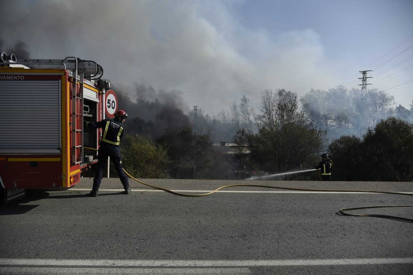 Imágenes del incendio forestal de Bonares