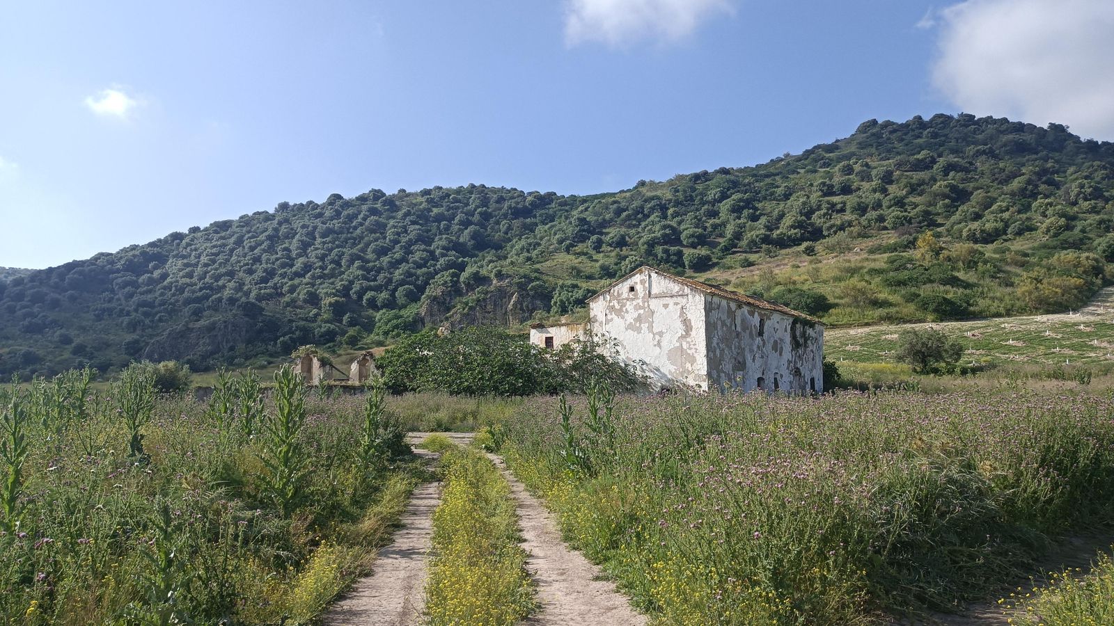 Ruinas del Cortijo del Castillo