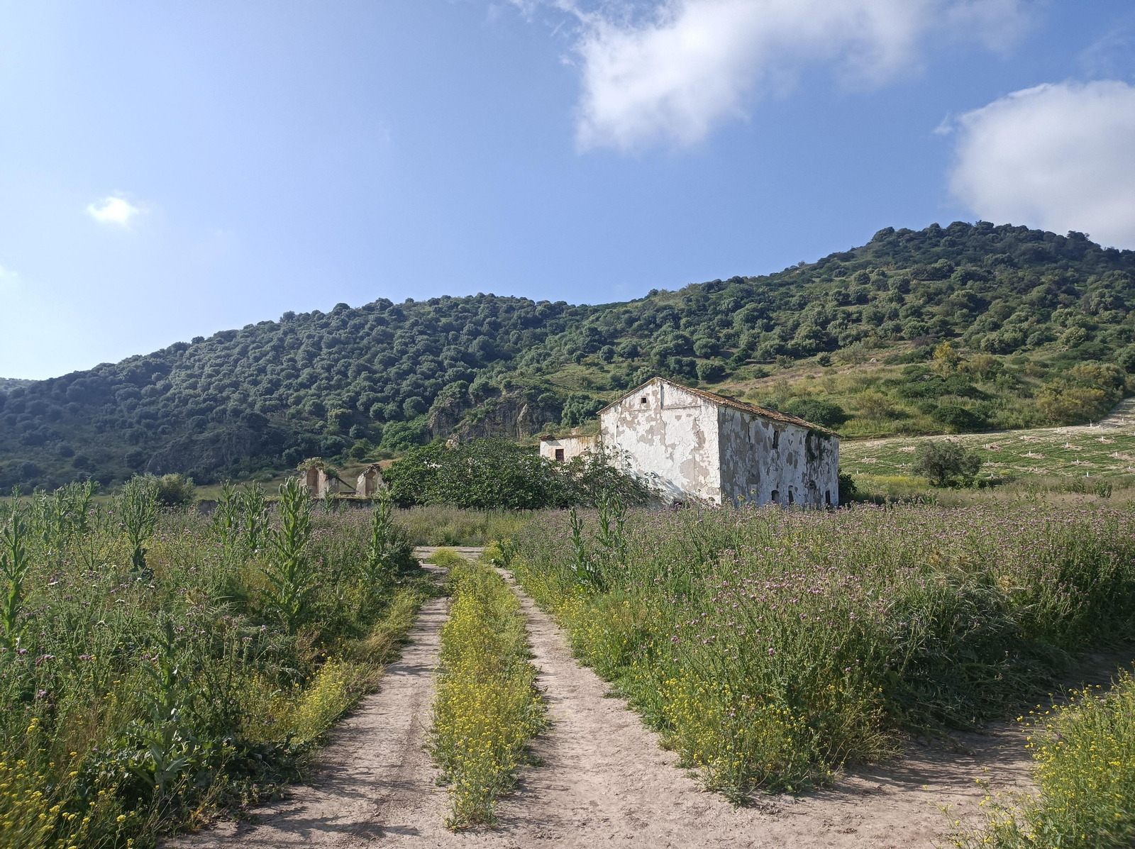 Las imágenes de la ruta alrededor del Castillo de Luna
