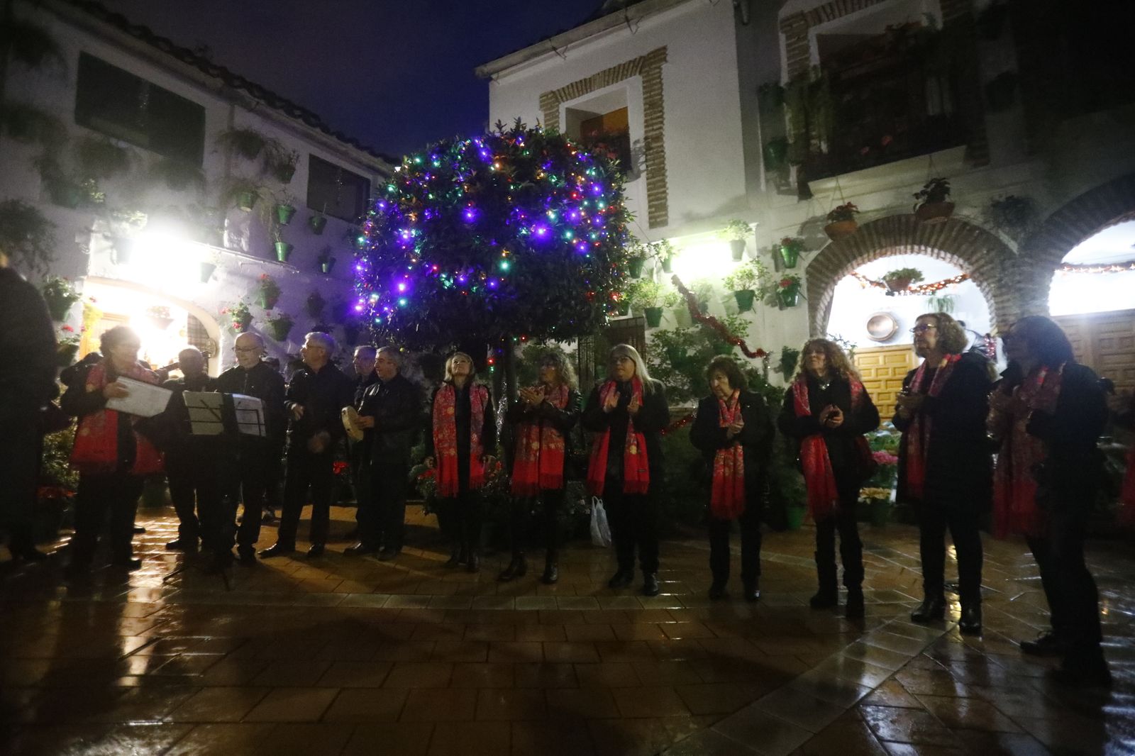 Los Patios de Córdoba abren por Navidad, en imágenes