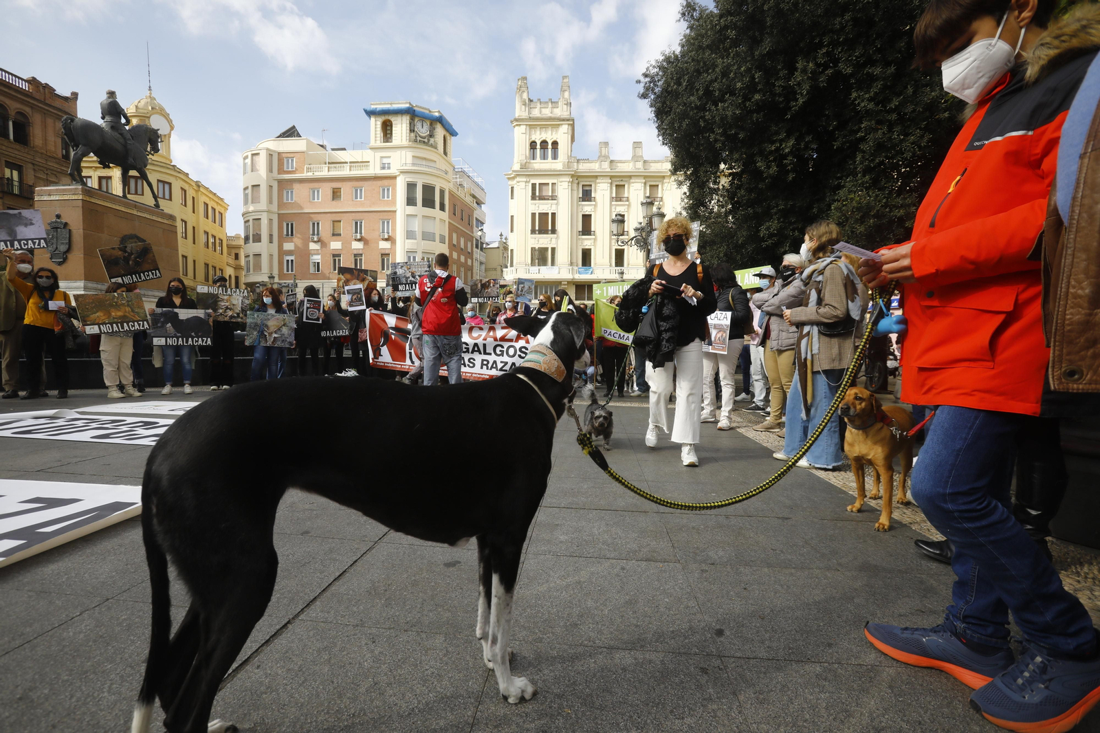 La protesta en Córdoba contra el uso de perros en la caza, en fotografías
