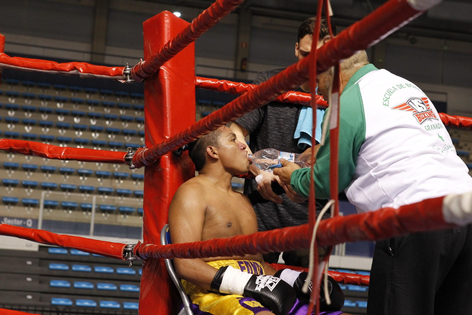 Fotogalería de la velada solidaria de boxeo