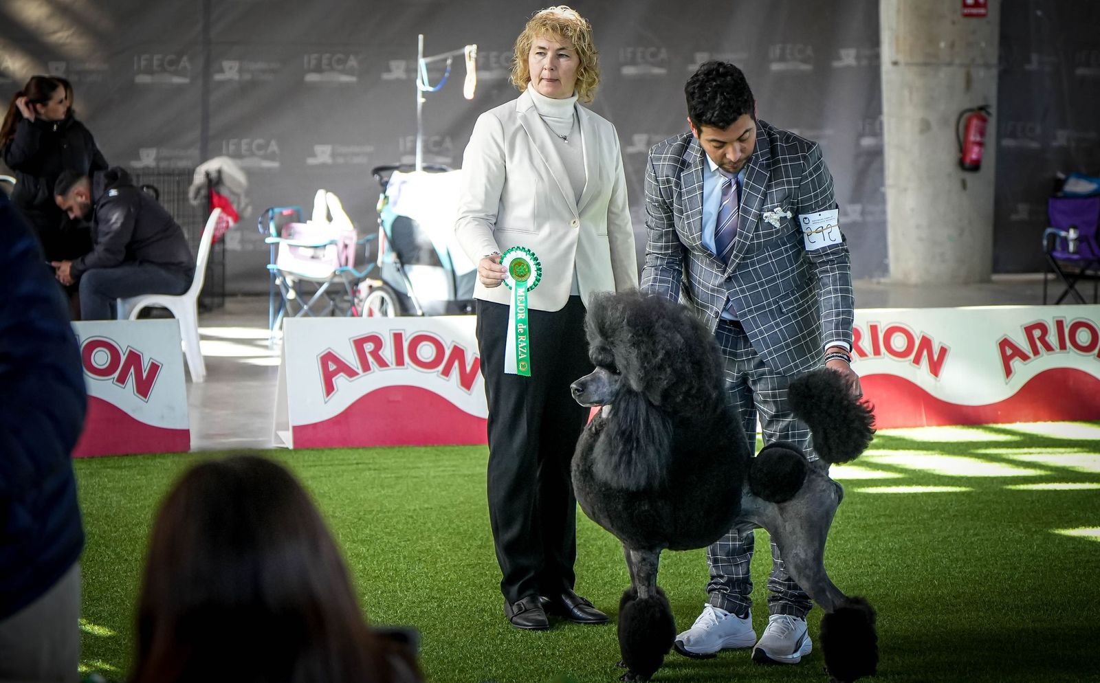 Espectacular exposición canina en Ifeca Jerez, en imágenes