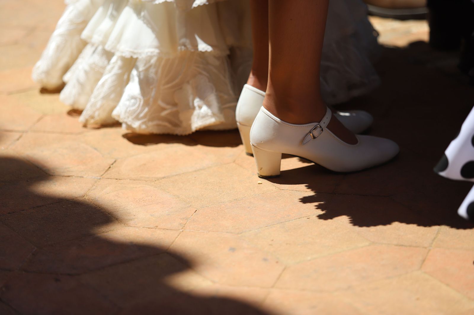 Imágenes de la presentación de las hermandades filiales ante la Virgen de Montemayor