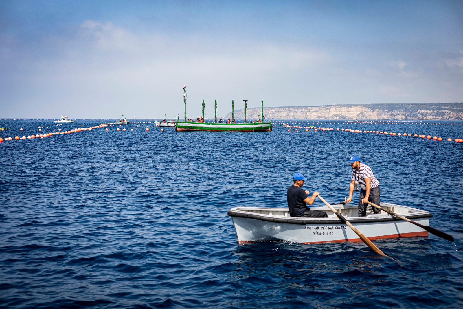 Las imágenes de la primera levantá en la almadraba de Barbate