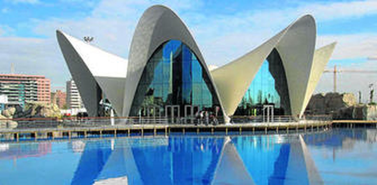 El Oceanográfico de la Ciudad de las Artes y las Ciencias puede visitarse de noche en verano.