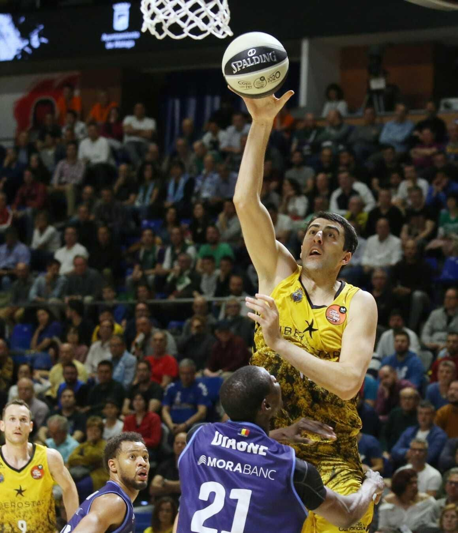 Las fotos del Iberostar Tenerife - Morabanc Andorra