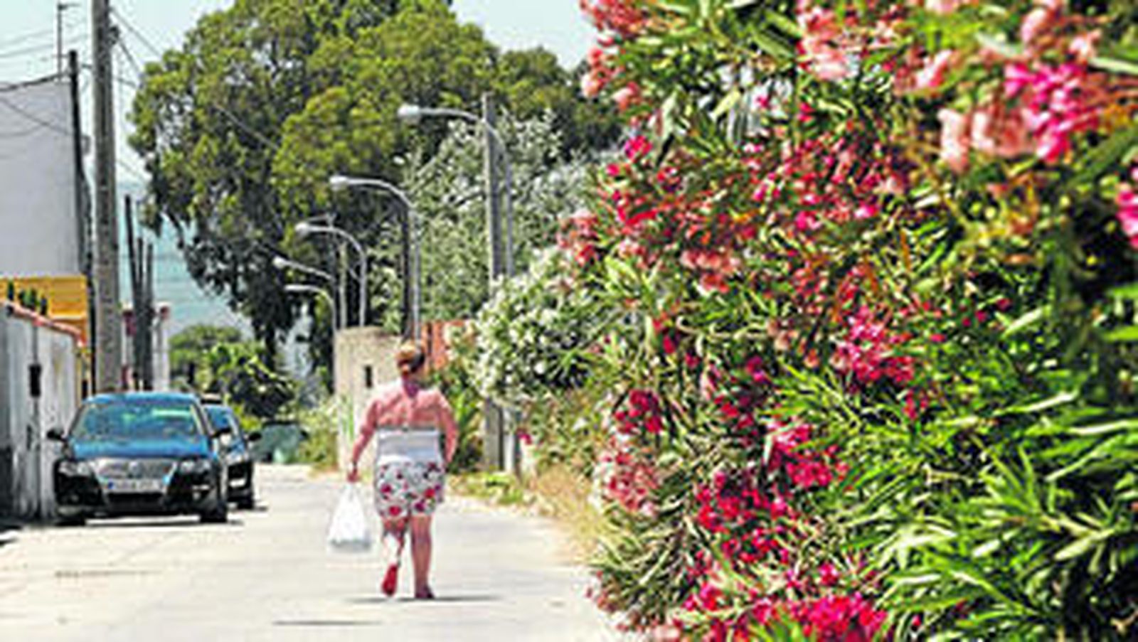 Imagen de la calle Cabo Mayor en la que justo horas antes sufrió un percance.