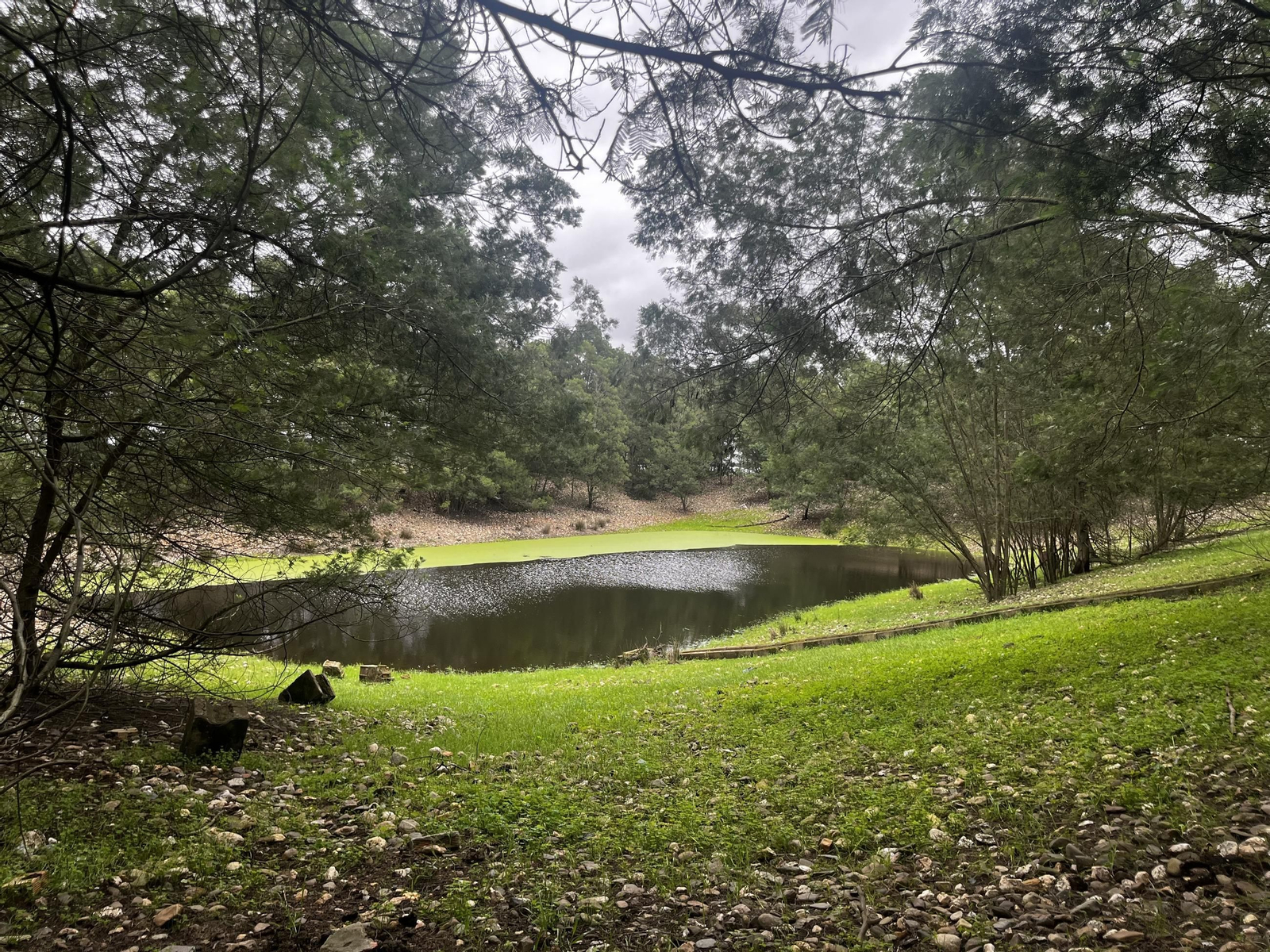 Balsa de la finca Los Mimbrales que será convertida en una laguna.
