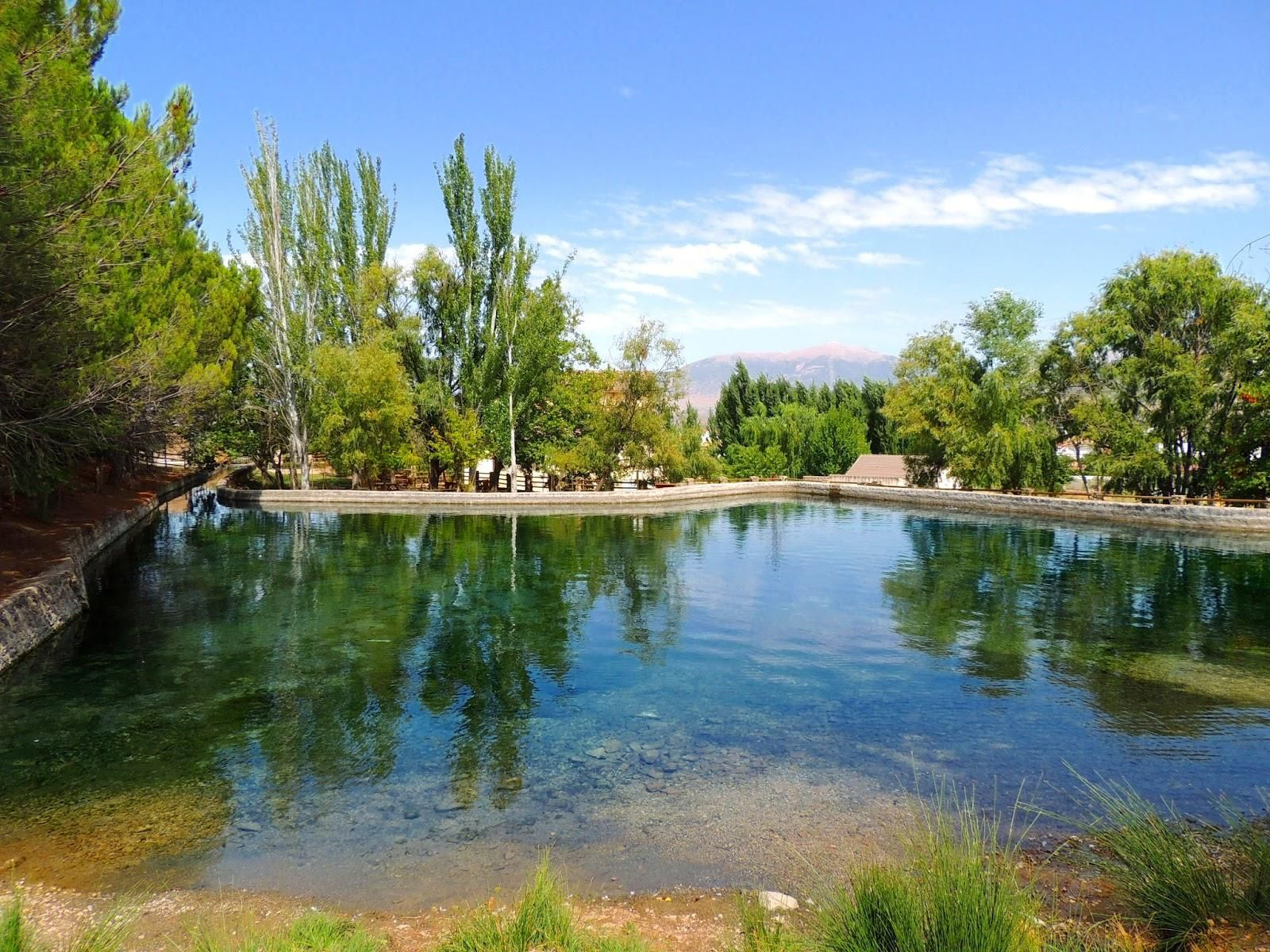 Un refugio para la flora y fauna: descubre los parajes acuáticos de Jaén en el Día Mundial de los Humedales