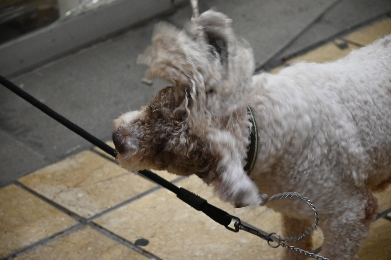 Imágenes del sábado 12 de octubre en Huelva