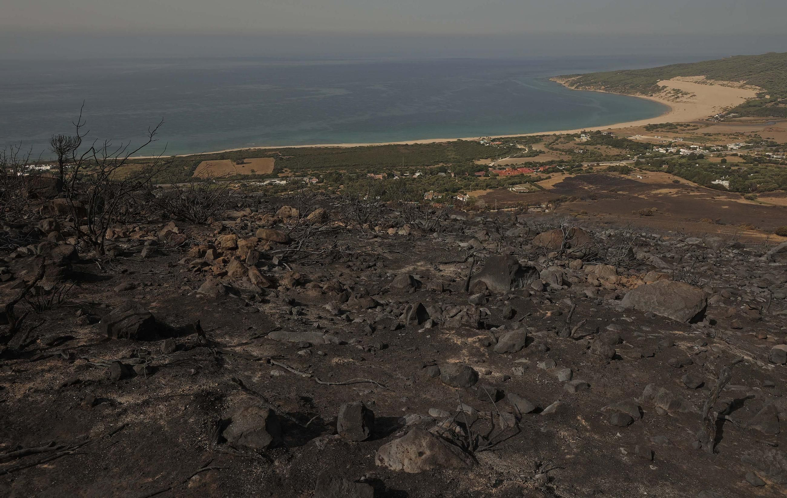 Zona afectada por el incendio de La Peña en Tarifa.