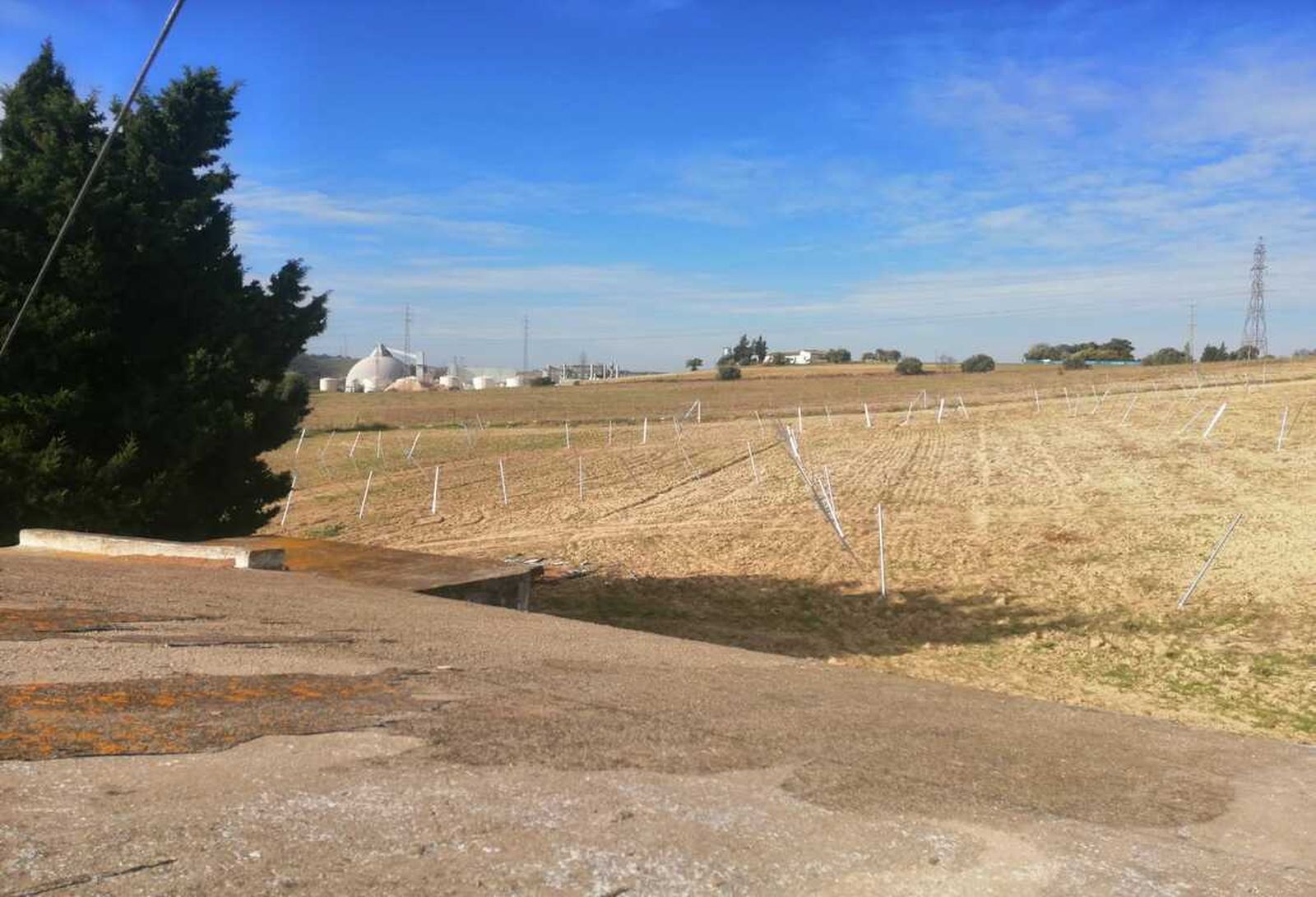 Una de las parcelas inspeccionadas.