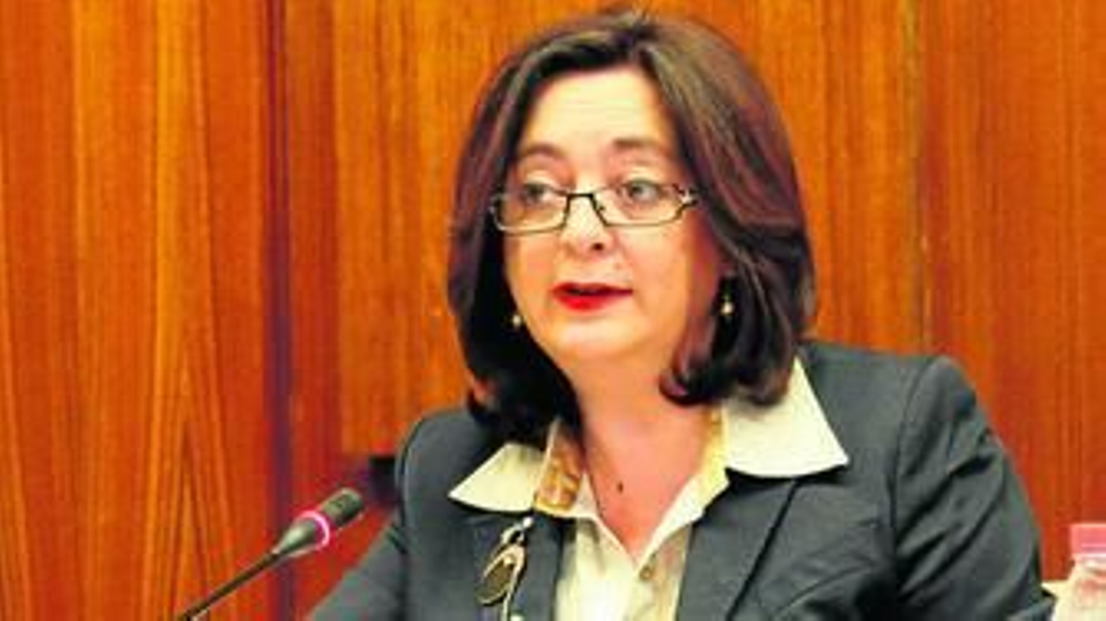 Mar Moreno ayer en comisión parlamentaria.