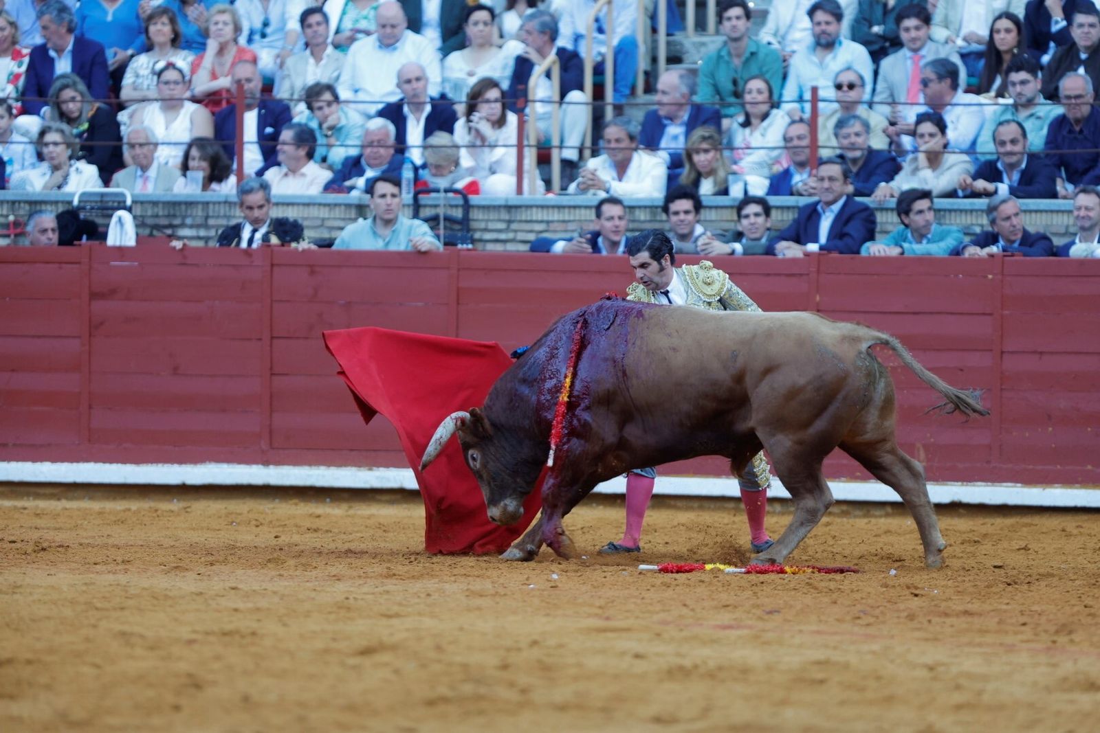 Las mejores fotos de la corrida de Morante, Ortega y Roca Rey en la Feria Taurina de Córdoba