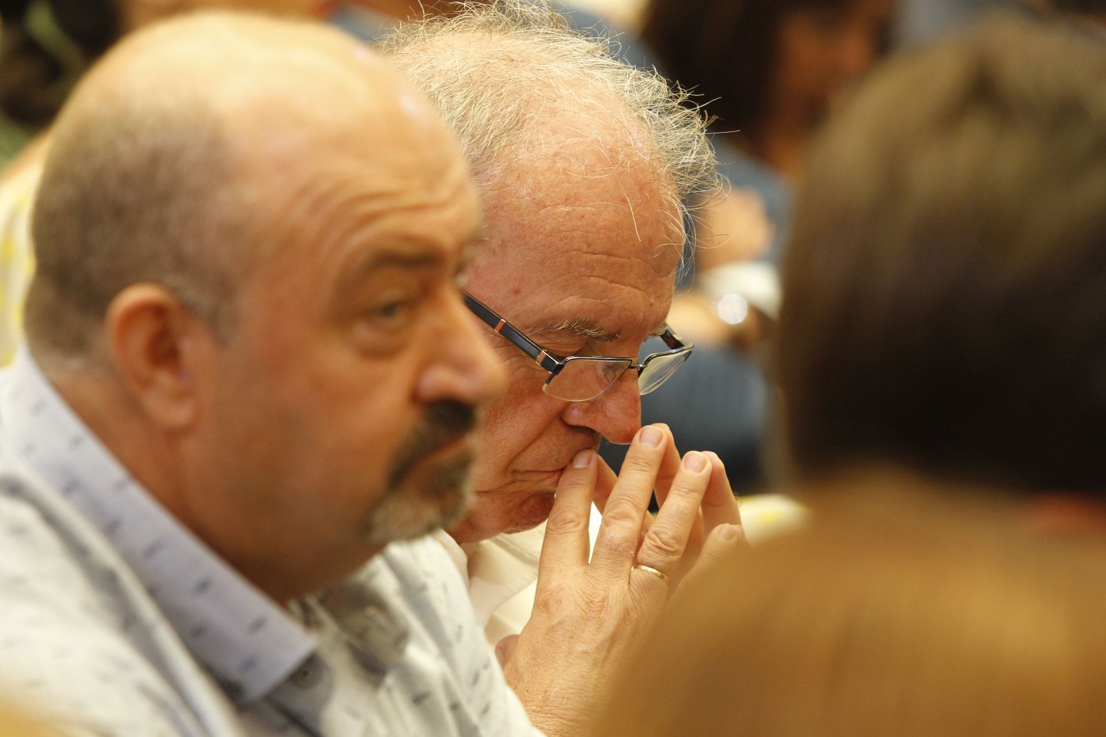 Pleno investidura Presidente Diputación de Almería. Javier Aureliano García