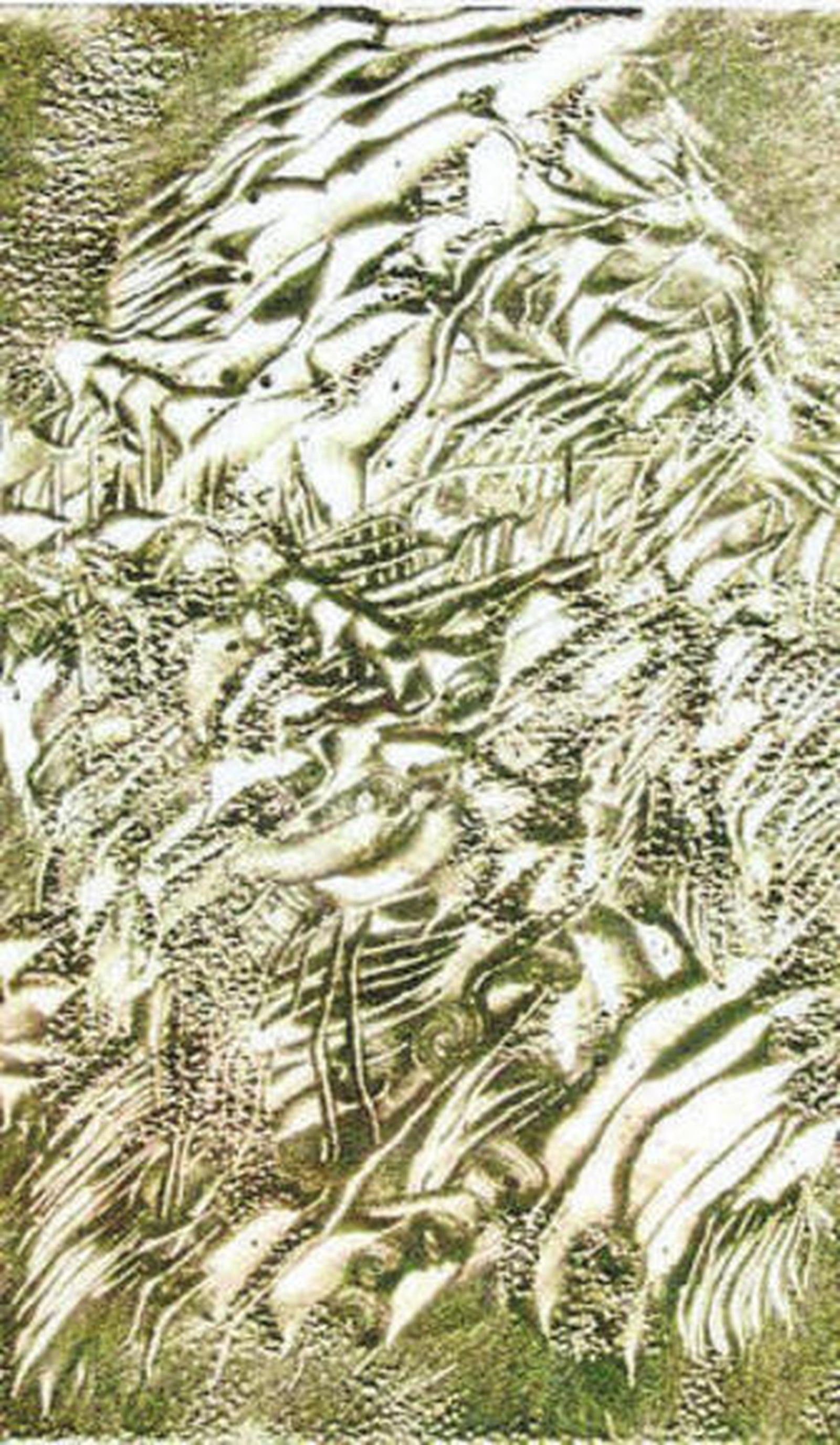 Una indagación permanente. En los dibujos del francés, caracterizados por un cierto 'horror vacui', las formas proliferan de modo que de la línea acaban brotando insospechados ritmos.