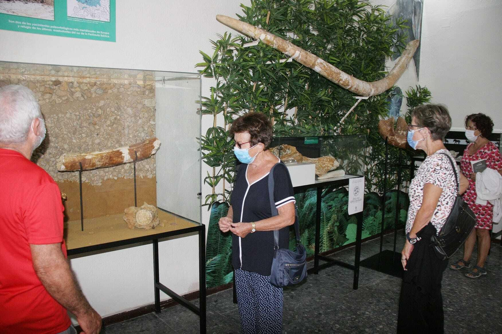 Los museo permanecieron abiertos toda la jornada por el  Día Mundial del Turismo.