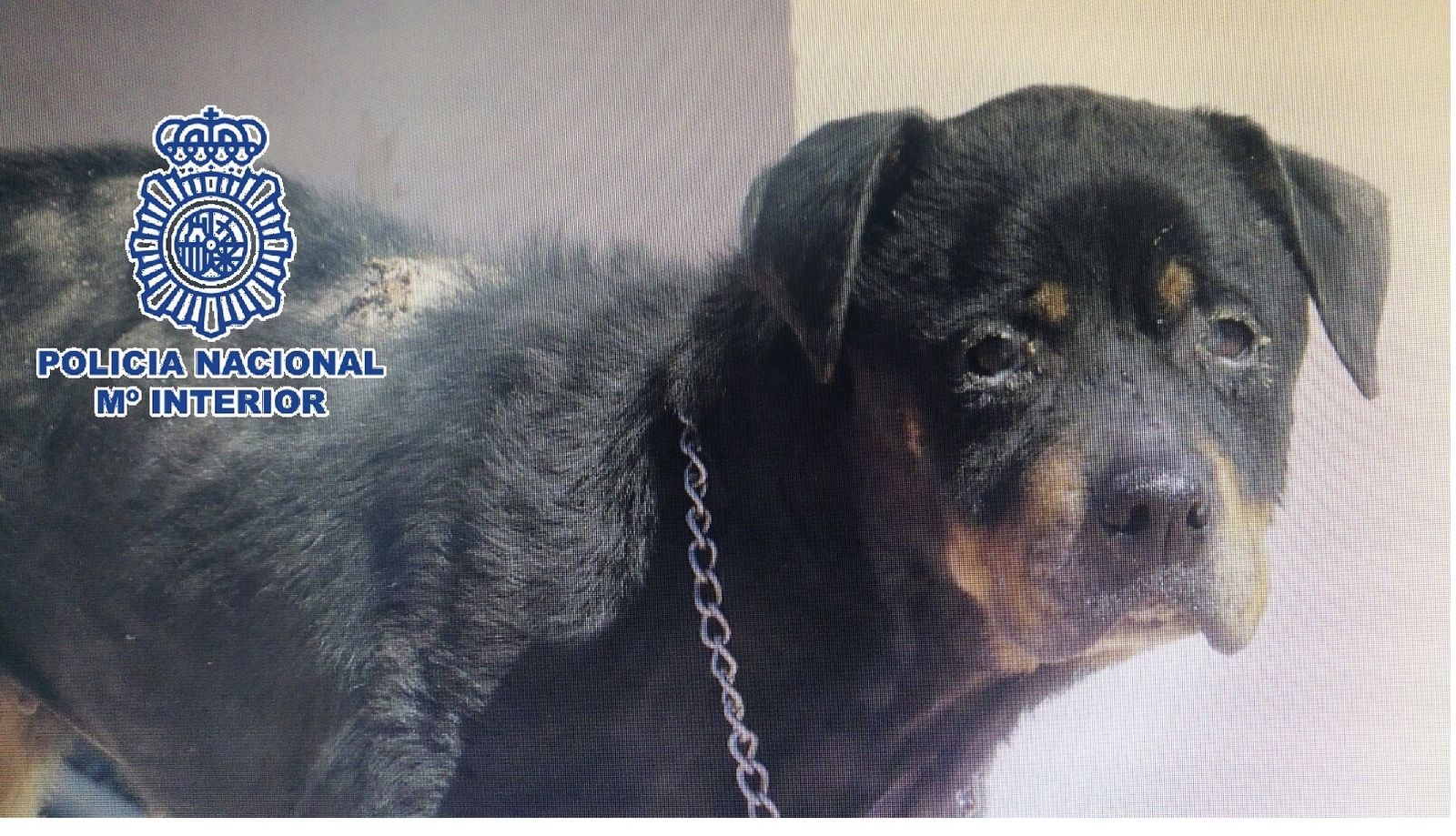 El estado que presentaba 'Candela'.