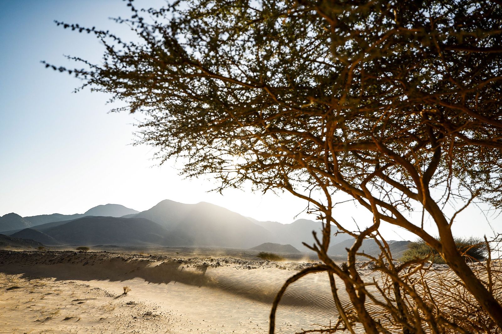 Las mejores fotos del Rally Dakar | Novena etapa