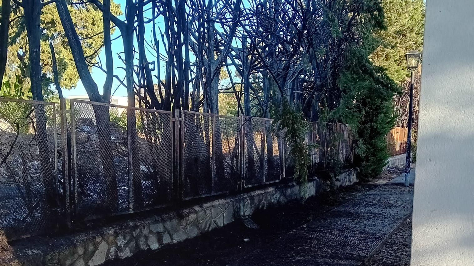 Una imagen del solar contiguo a la parroquia de San Benito.