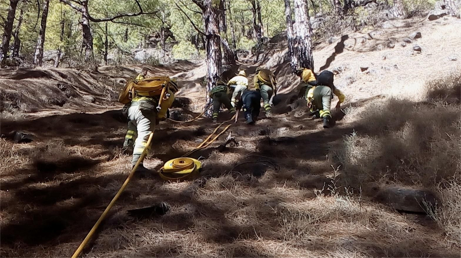 Tendido de mangueras con el sistema Sherpa.