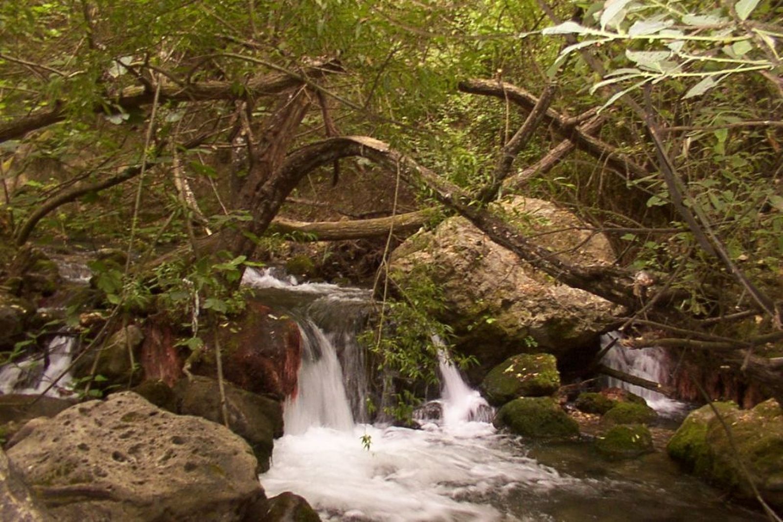 Imagen del río Majaceite, entre El Bosque y Benamahoma.