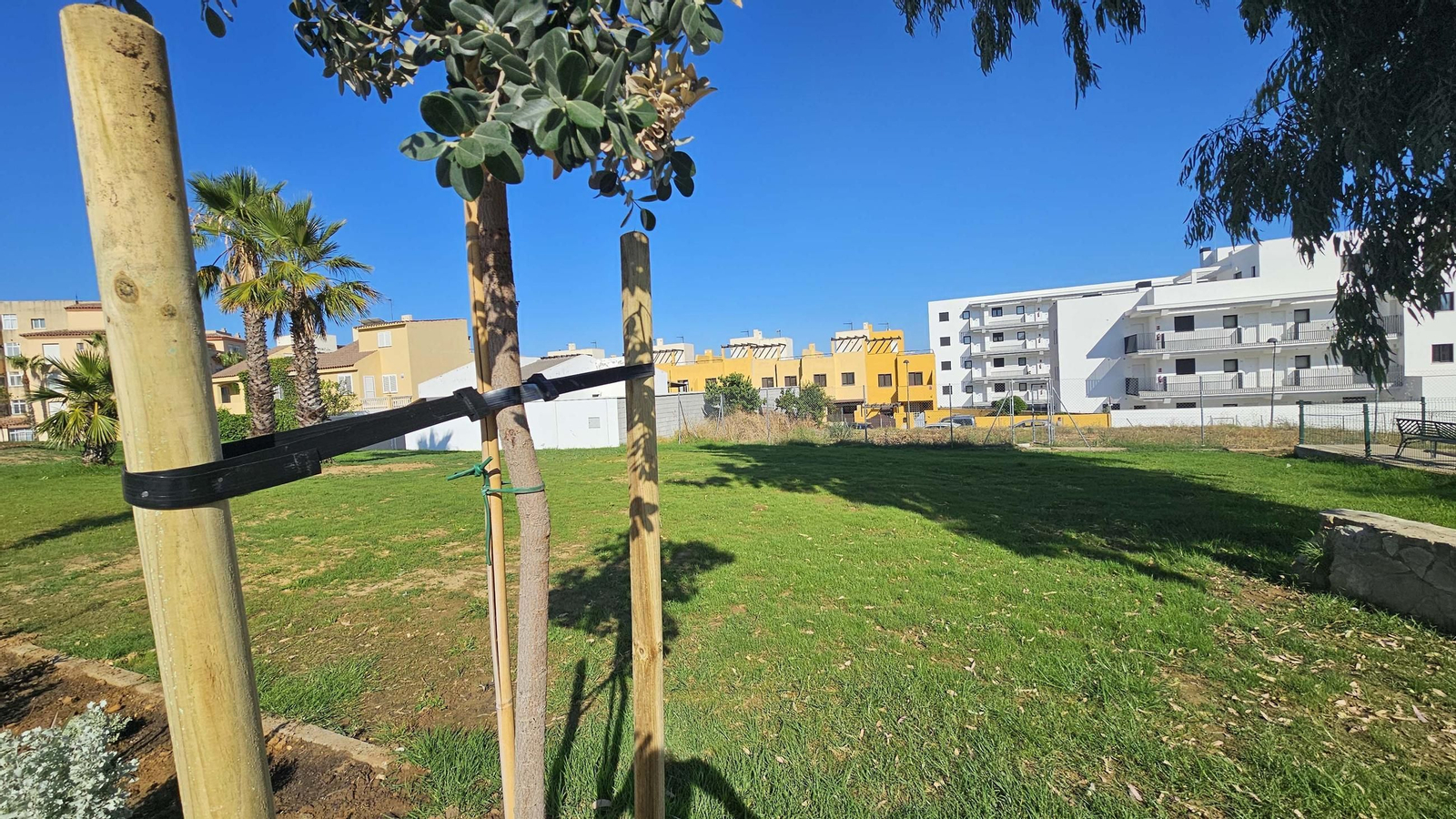 Fotos de los nuevos 12.000 metros cuadrados de zonas verdes de la Ermita, en Algeciras Fotos de los nuevos 12.000 metros cuadrados de zonas verdes de la Ermita, en Algeciras