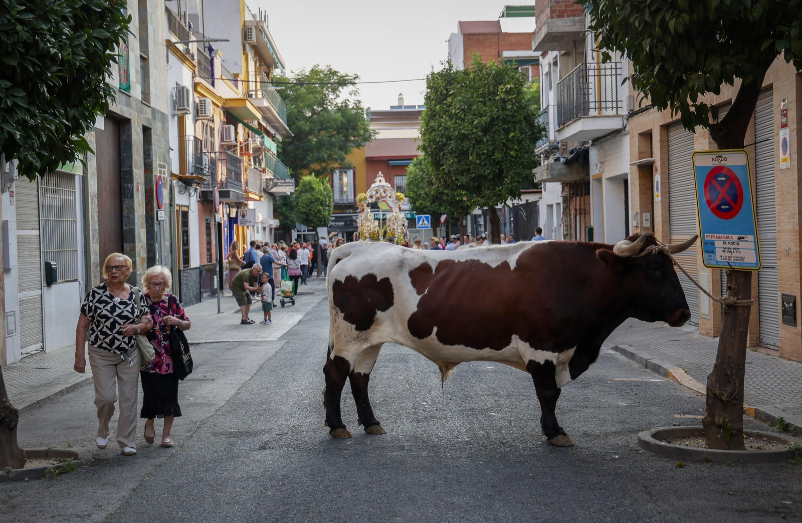 La salida de la Hermandad del Cerro en imágenes