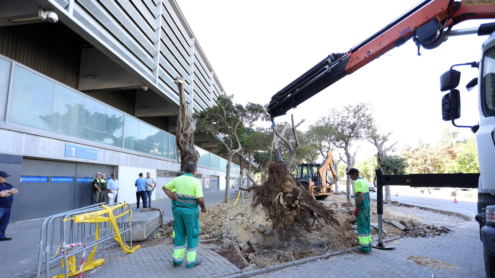 Traslado de los árboles de Chapín