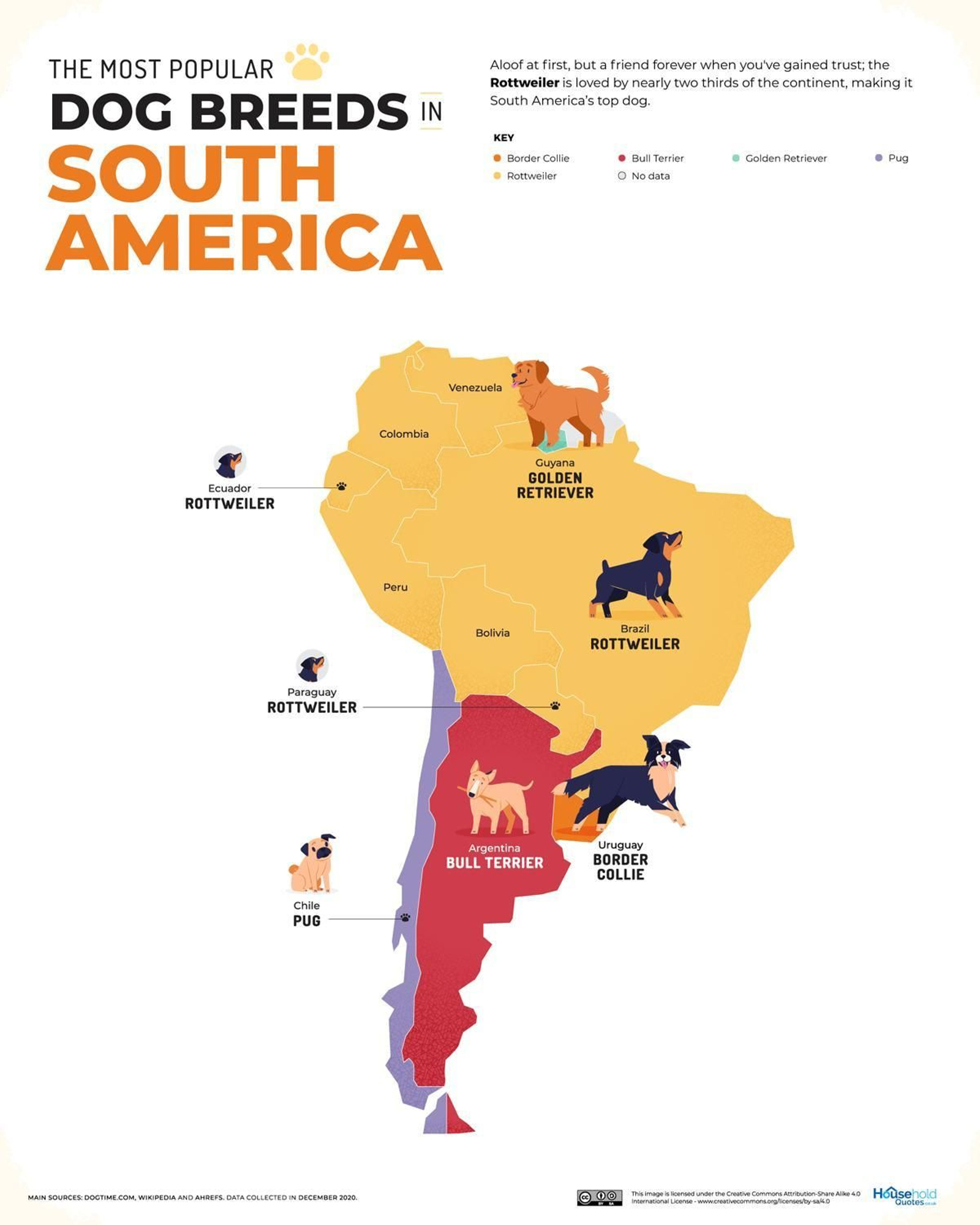 Razas más populares en Sudamérica