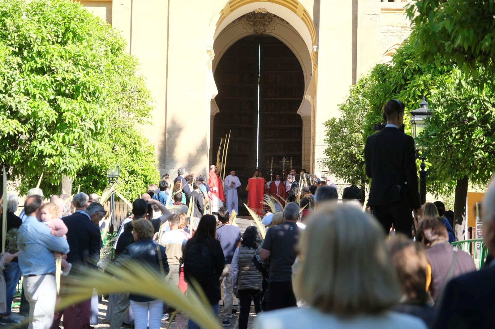 Domingo de Ramos en Córdoba 2023: la misa de la bendición de las palmas en la Catedral, en imágenes