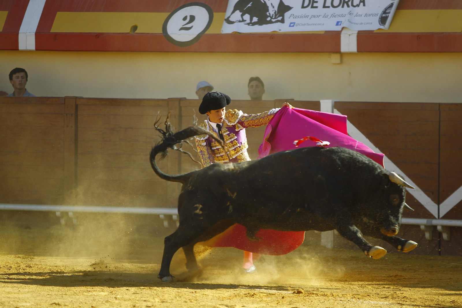 Imágenes de la corrida de Toros en Vera