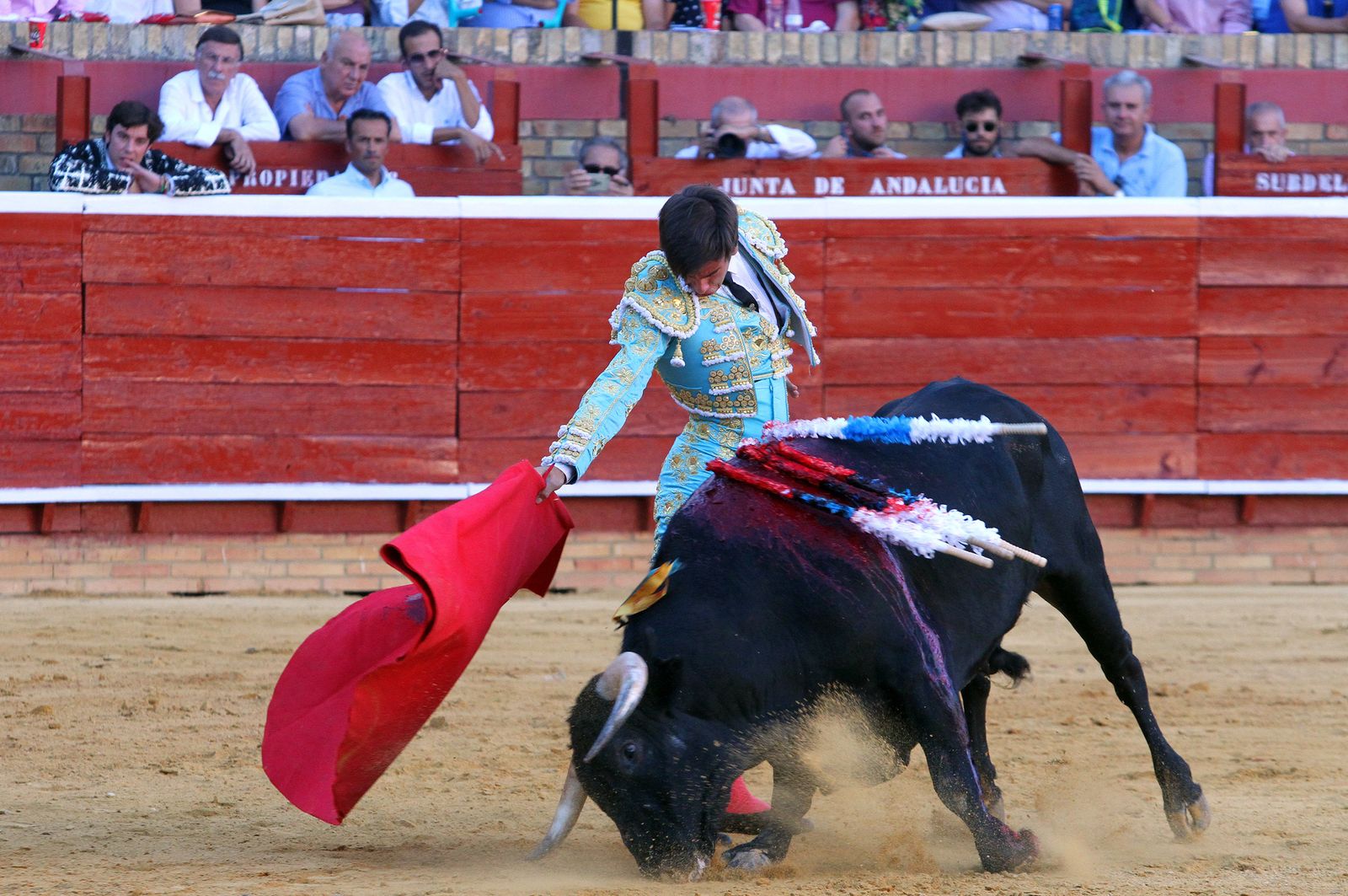 Imágenes de la Novillada de Rafael Serna, Emilio Silvera y Rodrigo Molina.