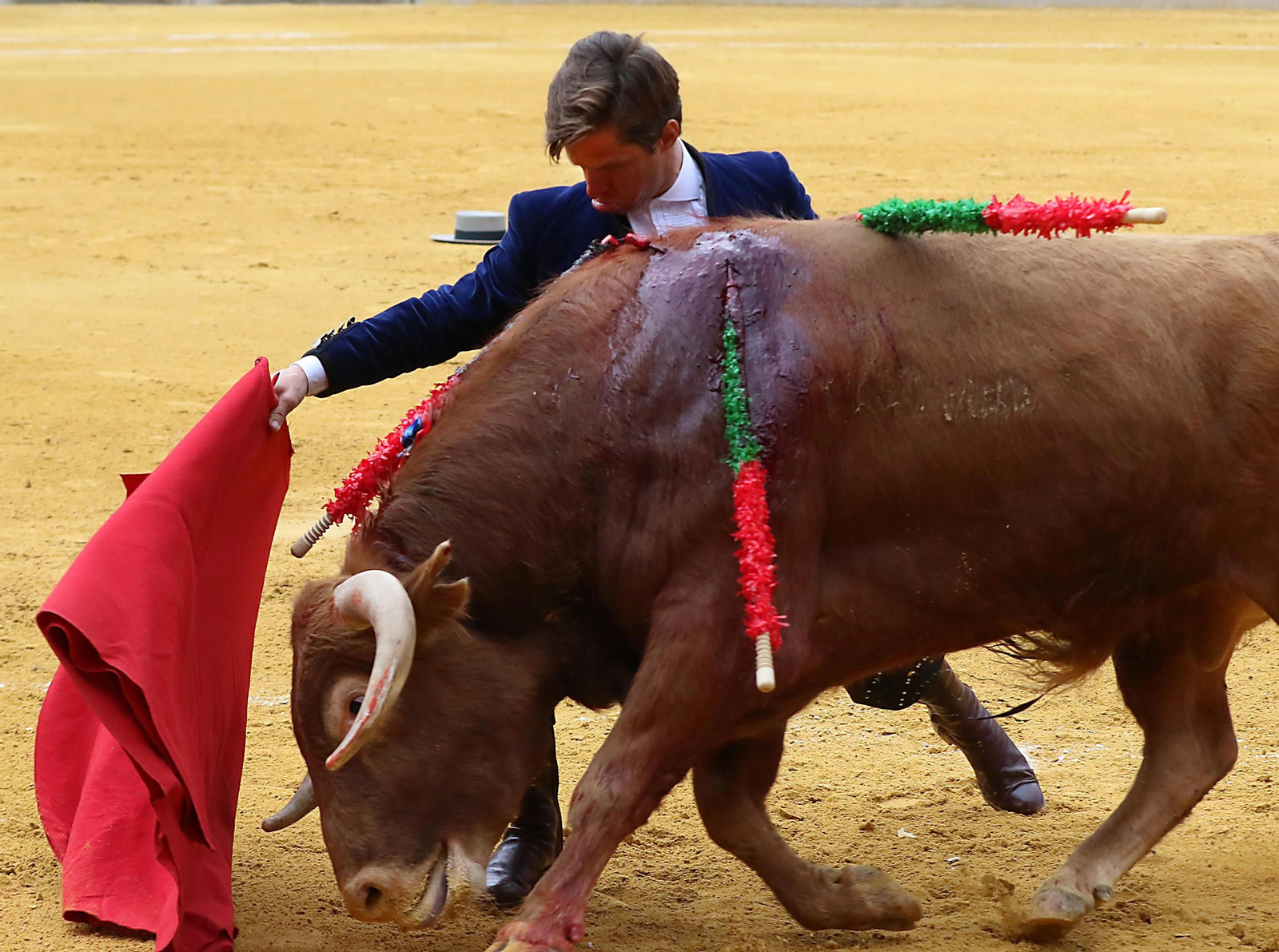 El Festival Taurino Granadown, en imágenes