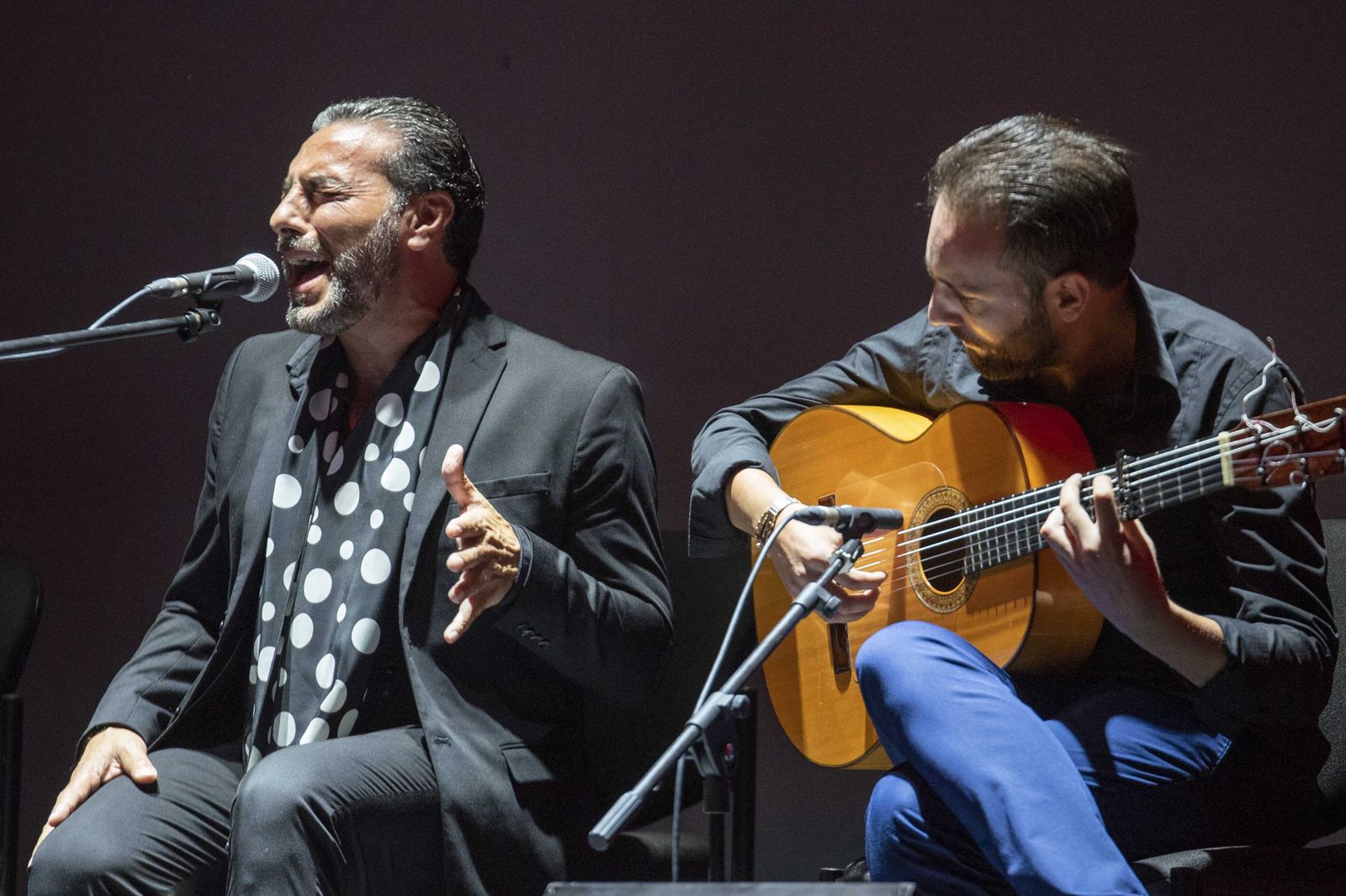 Pedro El Granaíno actuará en Sevilla.