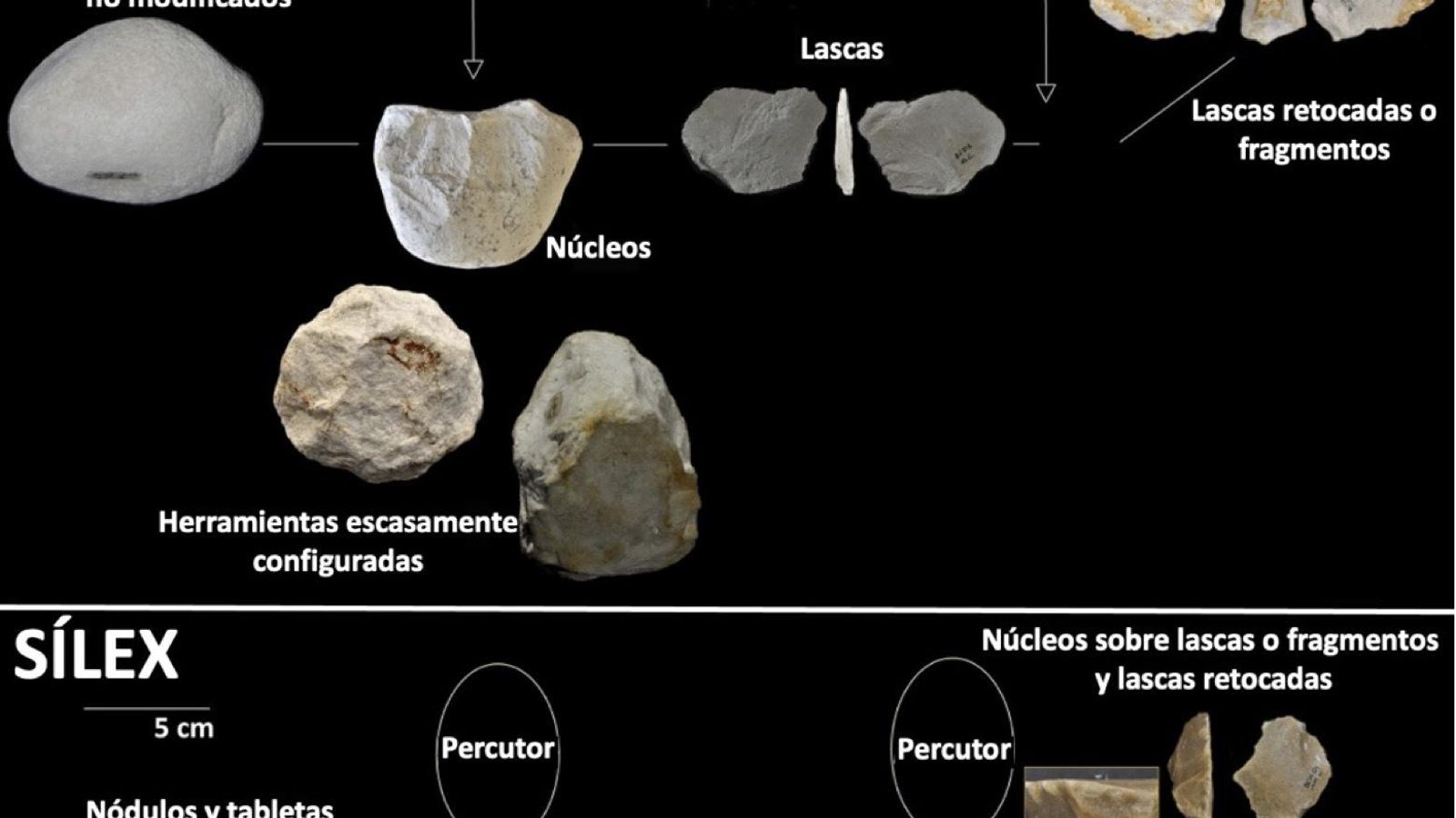 Procesos de obtención de los diferentes productos de talla lítica. Arriba, calizas; abajo, sílex (Modificado a partir de Barsky et al. 2022).