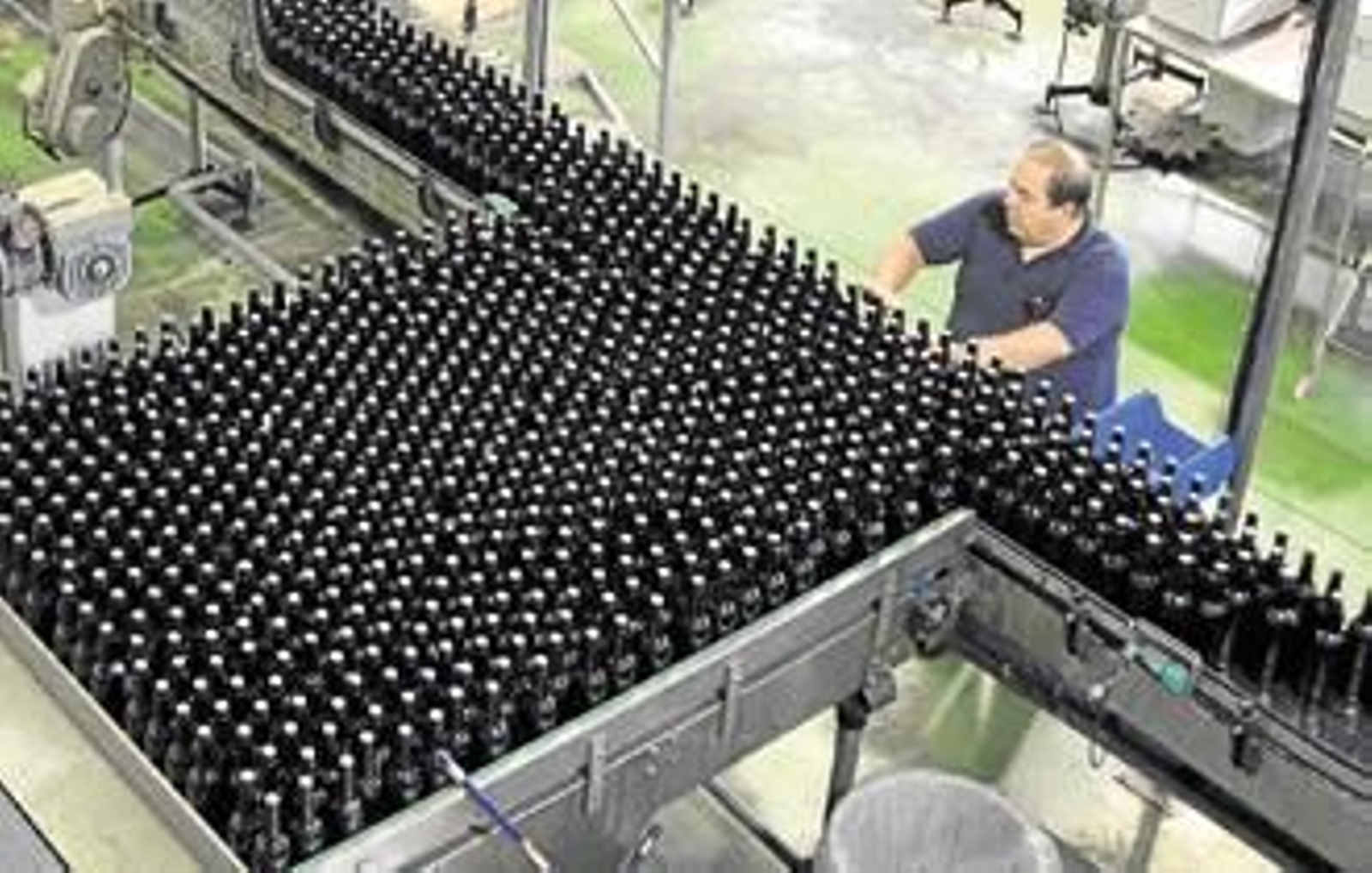 Un jerez llamado BOB