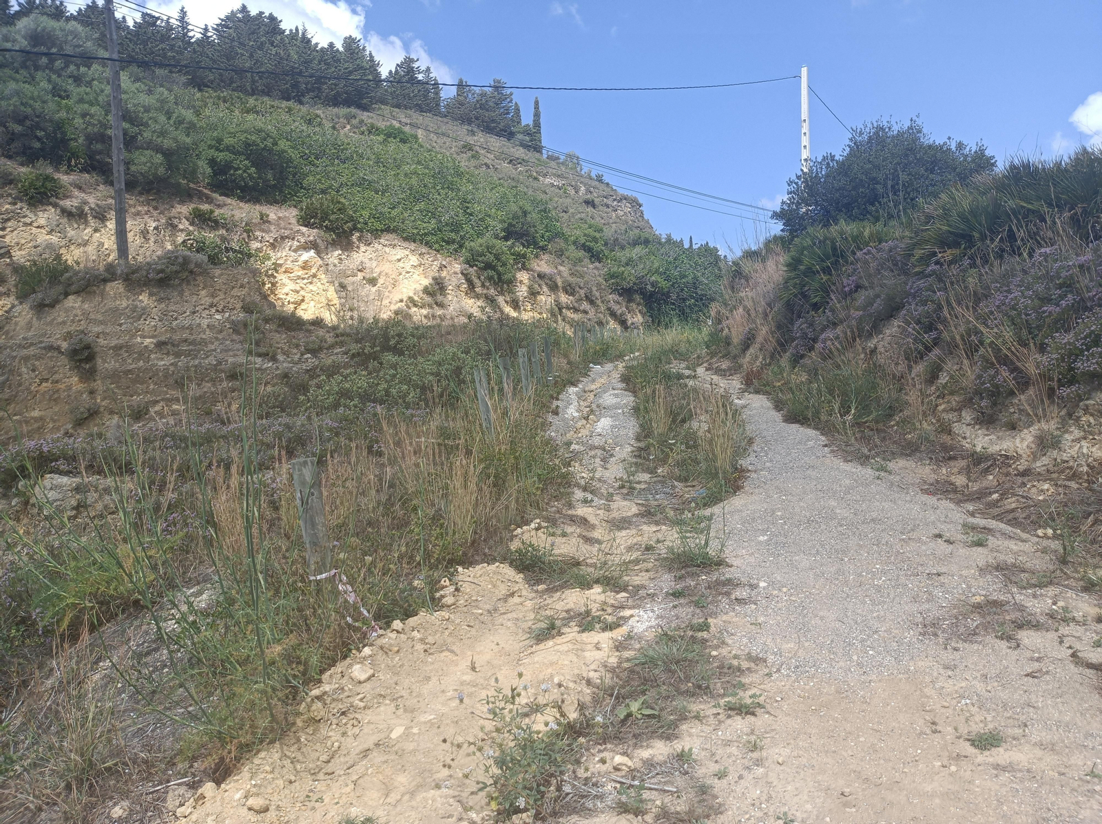 El camino junto a la Fuente de la Canaleja está algo descuidado.