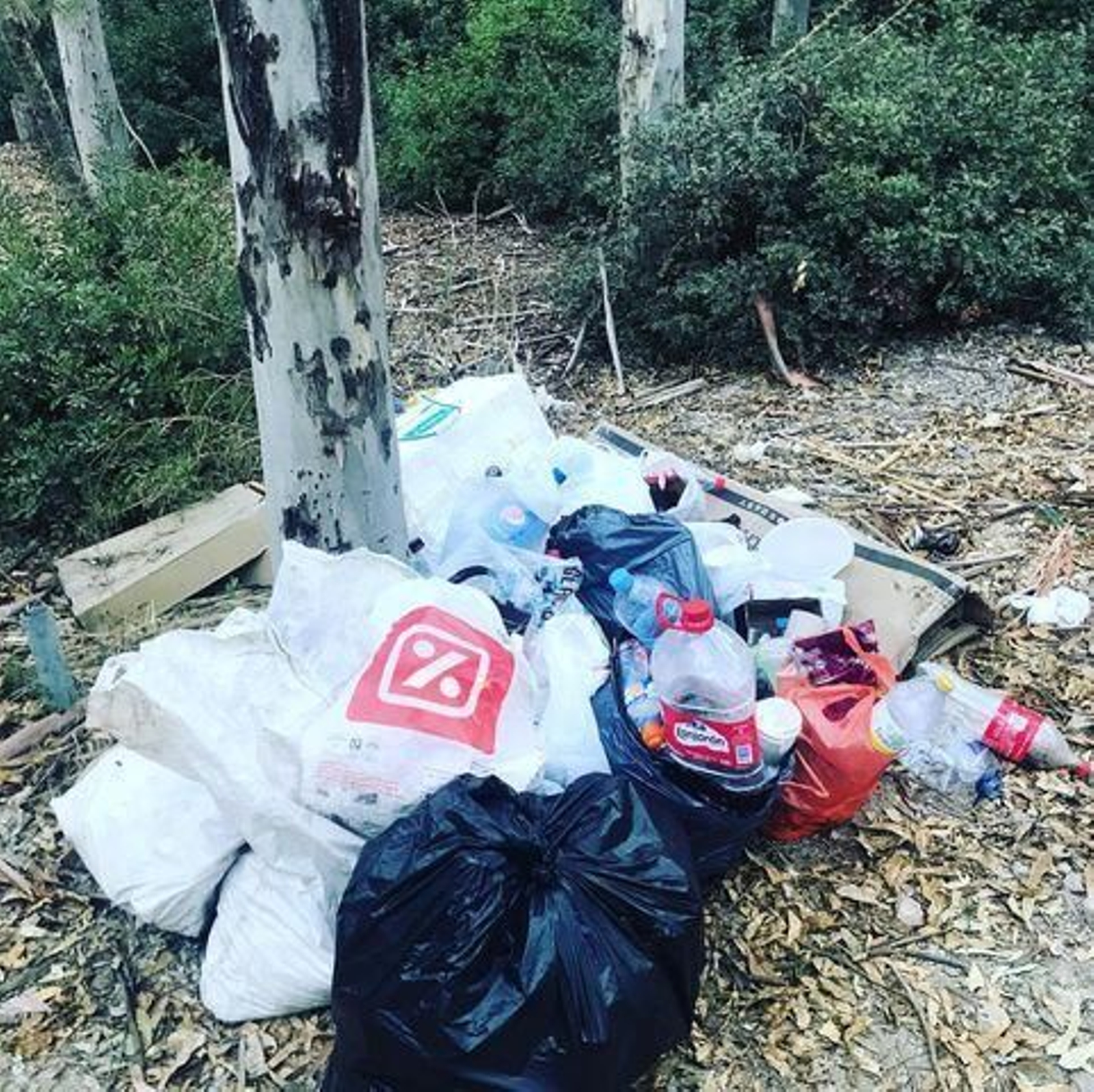 Basuras acumuladas y sin recoger en el parque de Las Aguilillas, a comienzos de esta semana.