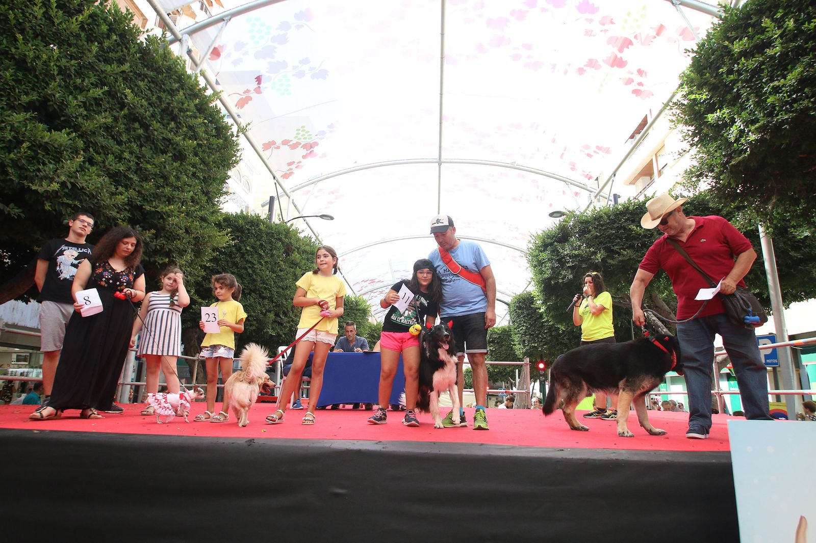 Fotogalería del concurso canino. Feria de Almería 2019