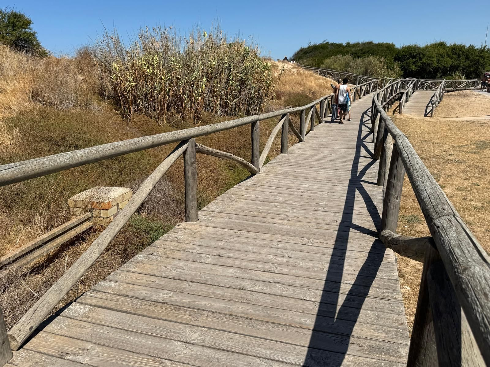 Plataformas de acceso a la playa de Punta Candor. Plataformas de acceso a la playa de Punta Candor.