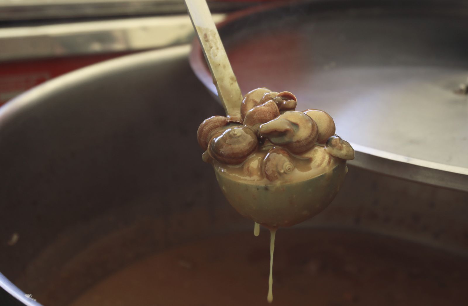 El puesto de caracoles La Sierra, en fotos