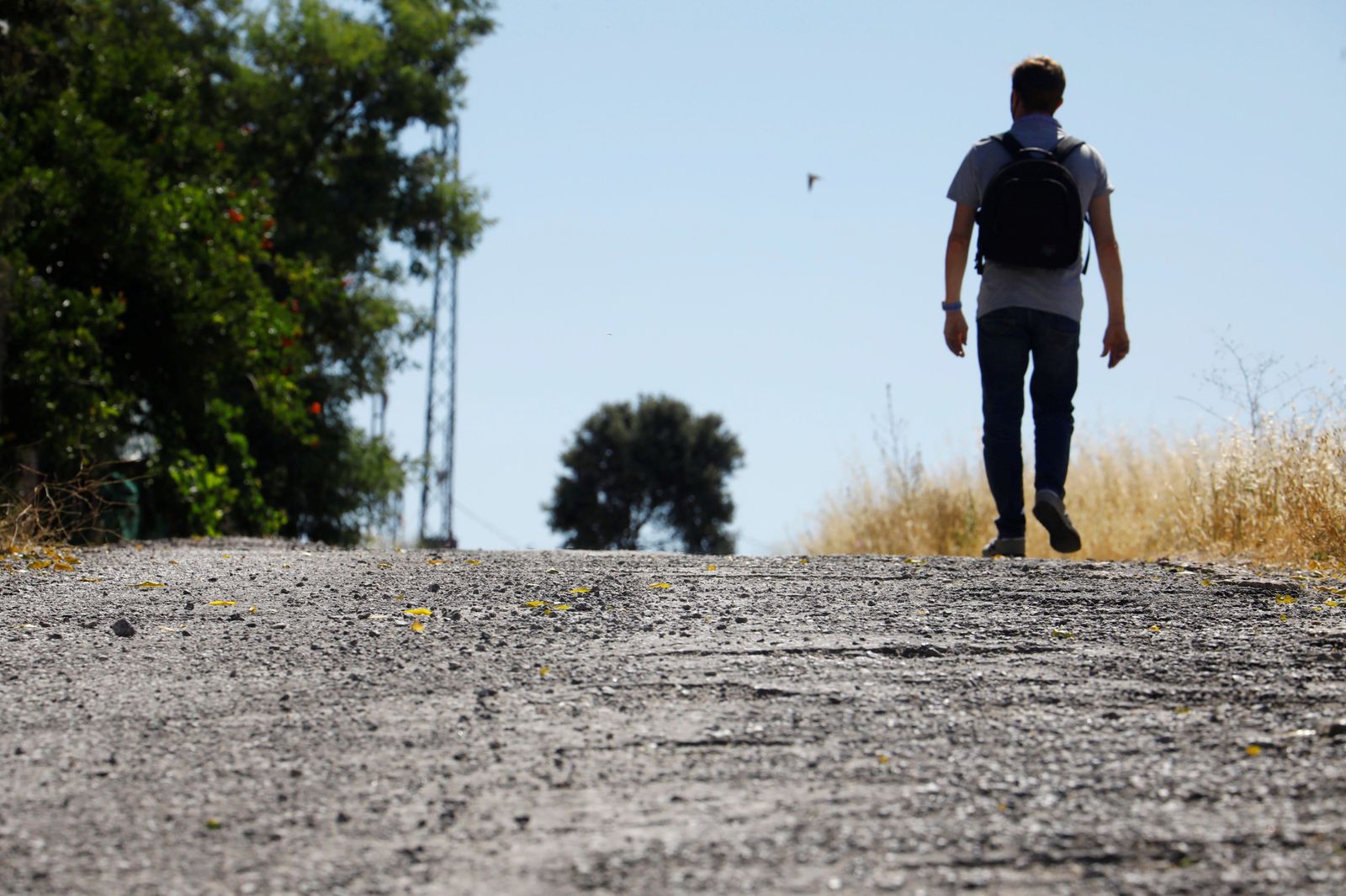 Camino Mozárabe hacia Santiago de Compostela a su paso por Córdoba.